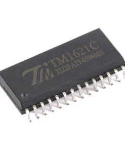آی سی TM1621C
